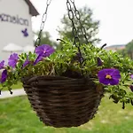Penzion Fialka Český Krumlov