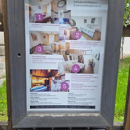 Fialka Český Krumlov