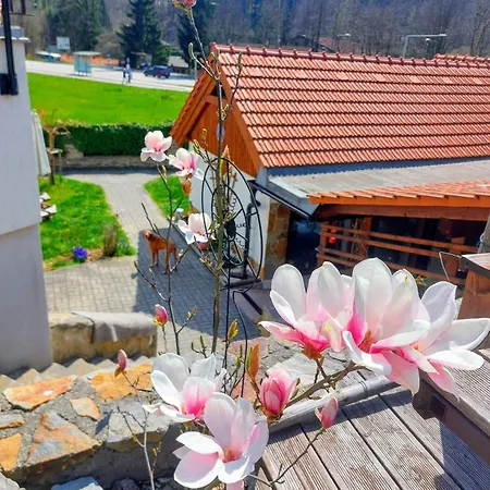 Gasthuis Fialka Český Krumlov