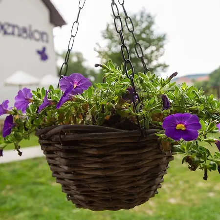 招待所 菲亚尔卡膳食公寓酒店 Český Krumlov