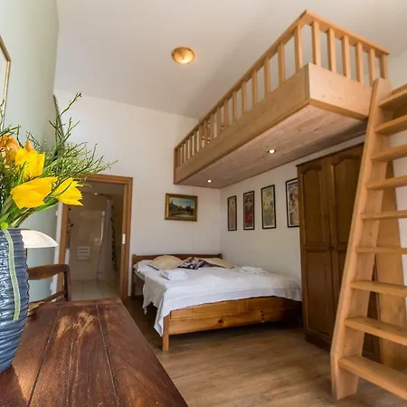Guest house Fialka 3*