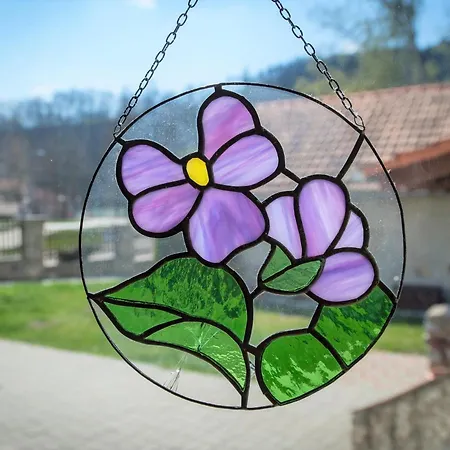 Fialka Český Krumlov
