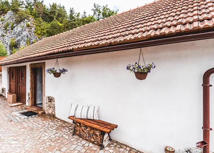Fialka Český Krumlov