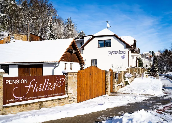 Fialka 4*