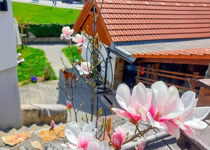 Gasthuis Fialka Český Krumlov